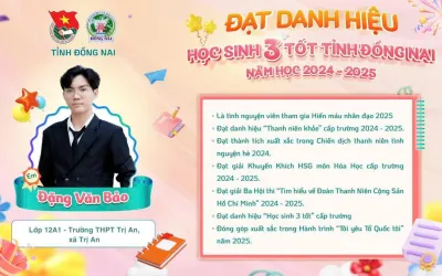 Em Đặng Văn Bảo - học sinh lớp 12A1 trường THPT Trị An đã xuất sắc đạt danh hiệu 