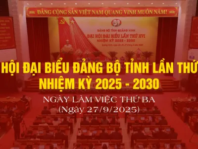 Trường THPT Trị An hướng tới Đại hội đại biểu Đảng bộ tỉnh Đồng Nai lần thứ I, nhiệm kỳ 2025 – 2030