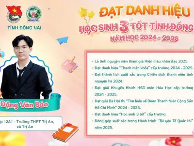 Em Đặng Văn Bảo - học sinh lớp 12A1 trường THPT Trị An đã xuất sắc đạt danh hiệu 