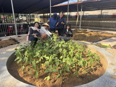 NÉT ĐẸP LAO ĐỘNG CỦA CÁN BỘ, GIÁO VIÊN, NHÂN VIÊN TRƯỜNG THPT TRỊ AN – CHUNG TAY TRỒNG CÂY, XÂY DỰNG TRƯỜNG HỌC XANH